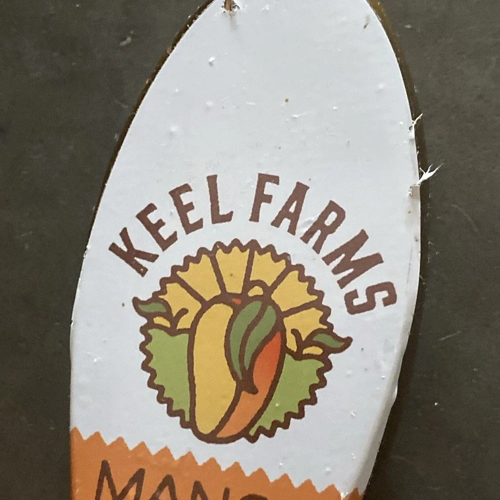 KEEL FARMS Mango Agrarian Cider TAP HANDLE, PLANT CITY, FLORIDA
